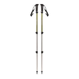 Trail Explorer 3 Vandrestave - Grøn - Seniorshop
